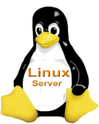 LinuxServer